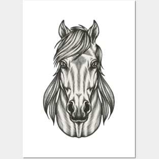 Horse Face Posters and Art